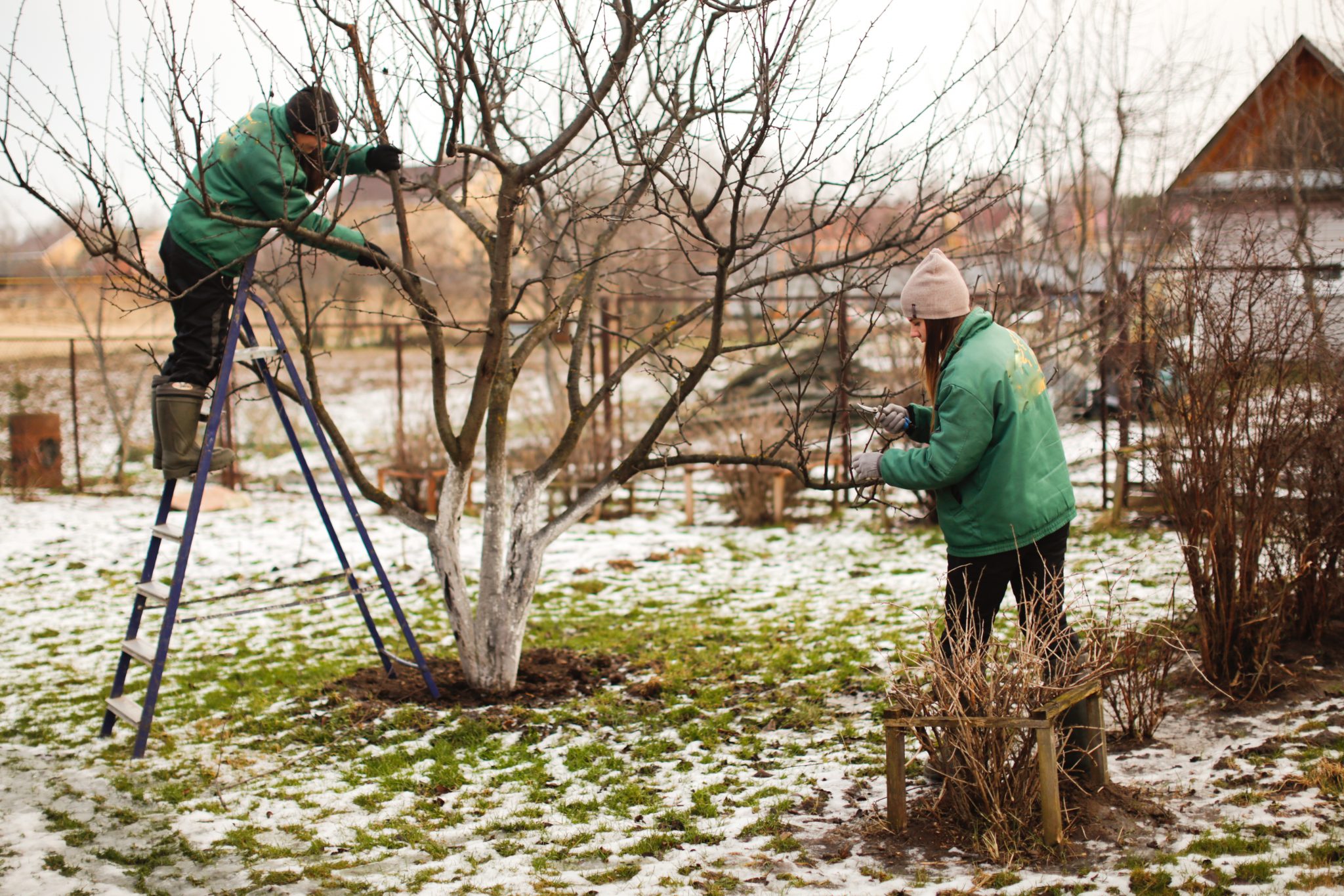 Comment Entretenir Son Jardin En Hiver OBOJARDIN