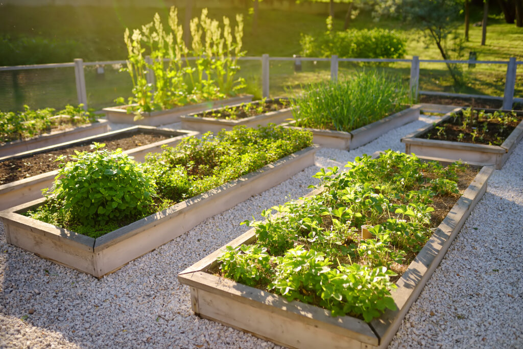 jardin comestible