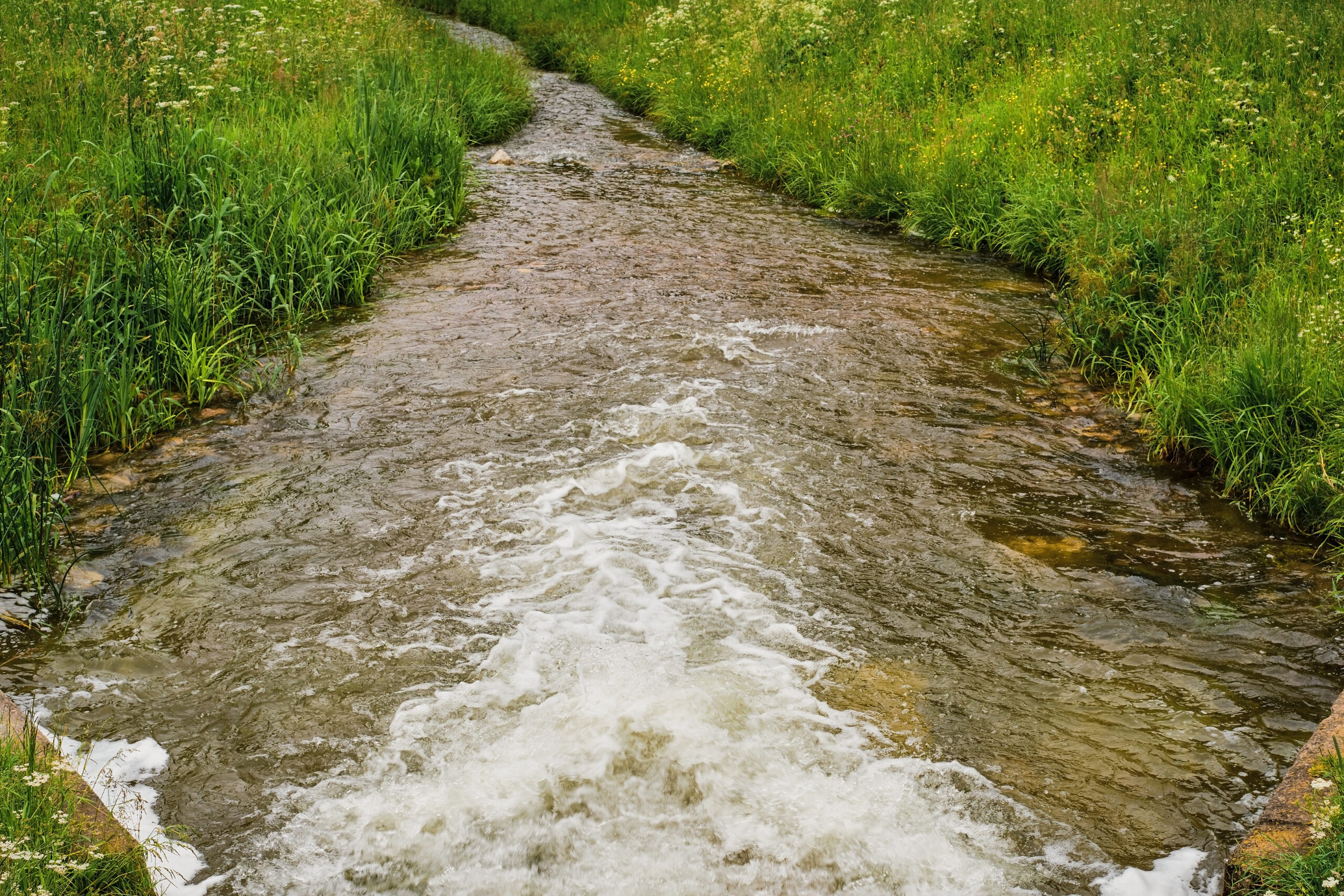 River flows out of the dam, the forest stream runs among the meadow of flowering grass. Resource water saving problem, idea for banner